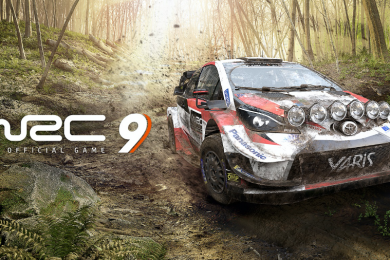 Review WRC 9